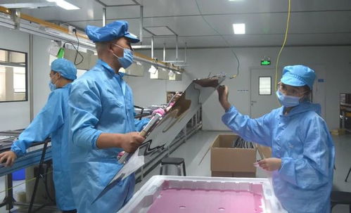 康佳“遂宁造”视讯产品迈入批量生产阶段，投影仪成新增长点